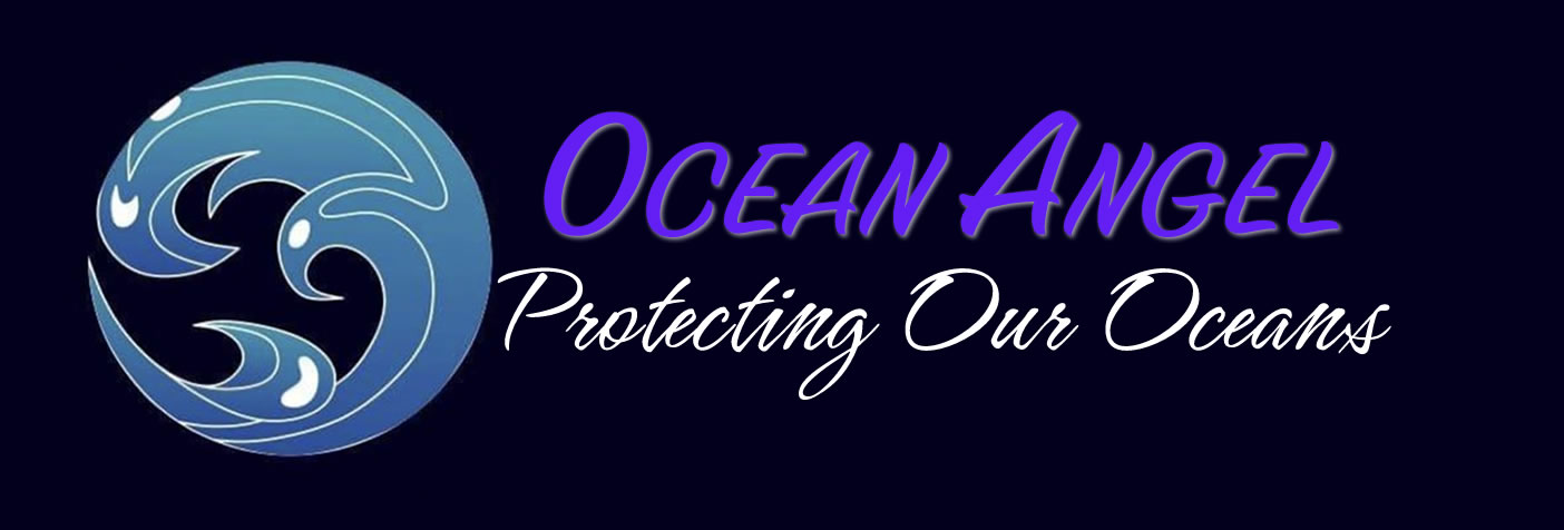 Ocean Angel